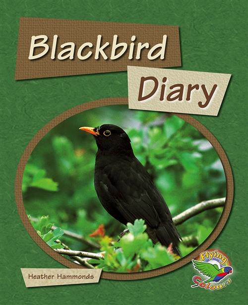 Picture of  Black Bird Diary