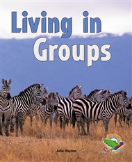 Living in Groups - 9780170120814