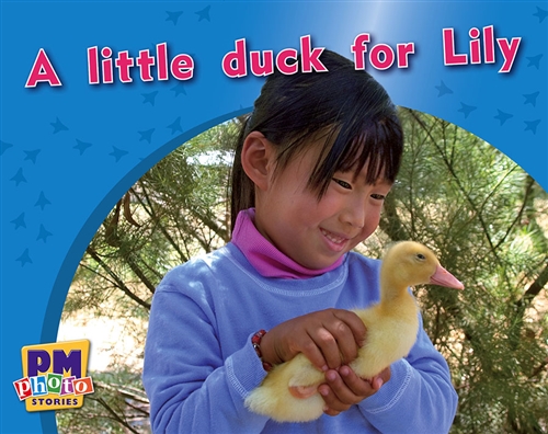 Picture of  A little duck for Lily