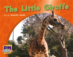 The Little Giraffe - 9780170123273