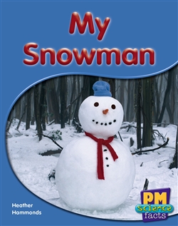 My Snowman - 9780170123846