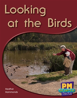 Looking at the Birds - 9780170124003