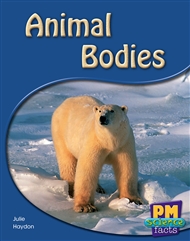 Animal Bodies - 9780170124010