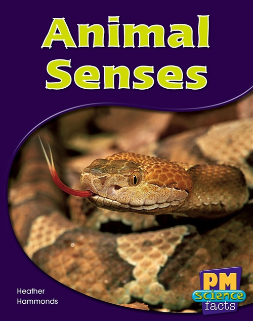 Picture of Animal Senses