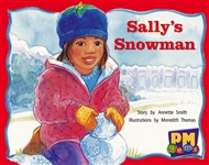 Sally's Snowman - 9780170124294