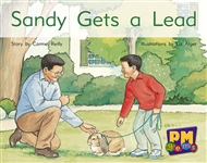 Sandy Gets a Lead - 9780170124416
