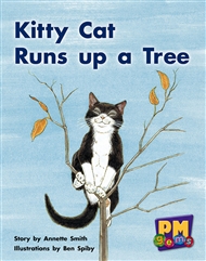Kitty Cat Runs up a Tree - 9780170124423