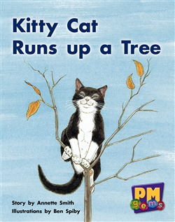 Kitty Cat Runs up a Tree - 9780170124423