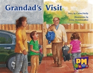 Grandad's Visit - 9780170124645