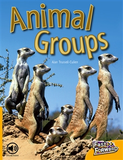 Animal Groups - 9780170124973