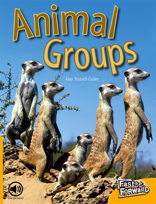 Picture of  Animal Groups