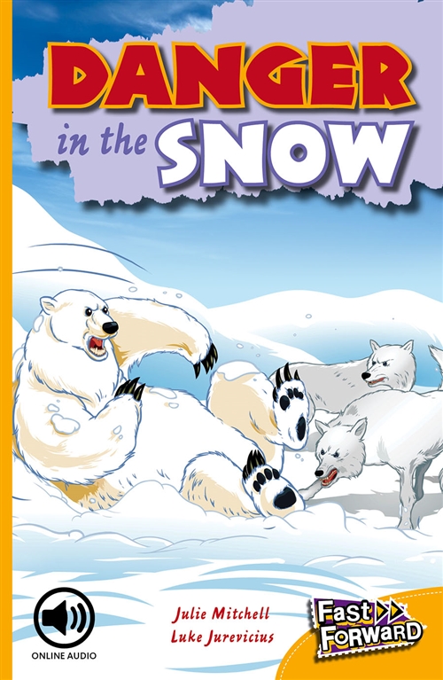 Picture of  Danger in the Snow