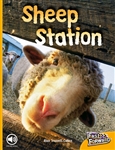Sheep Station