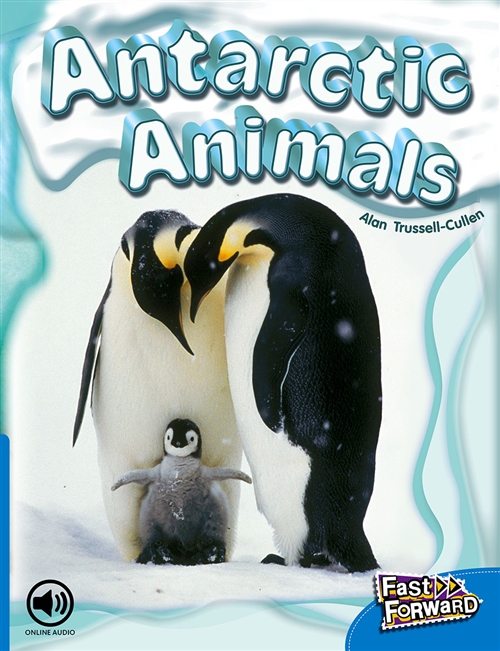 Picture of  Antarctic Animals