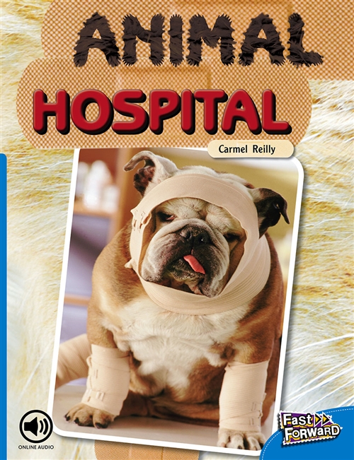 Picture of  Animal Hospital