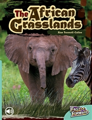 The African Grasslands - 9780170126304
