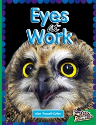 Eyes at Work - 9780170127257