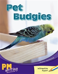Pet Budgies - 9780170132237