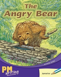 The Angry Bear