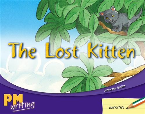 Picture of  The Lost Kitten