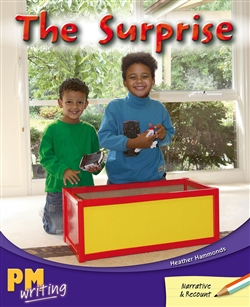 The Surprise - 9780170132435