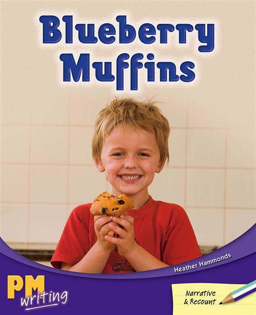 Picture of  Blueberry Muffins