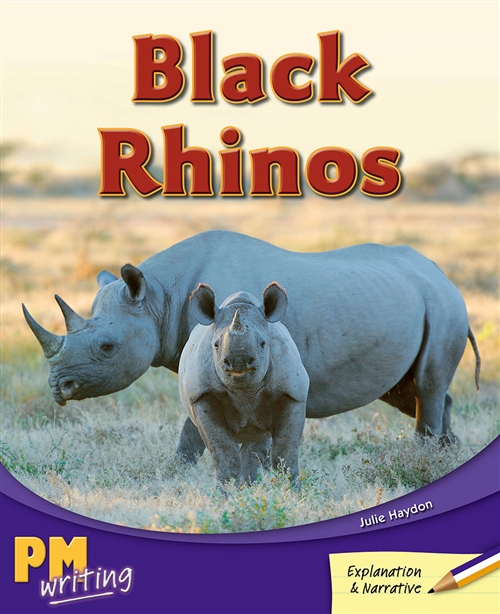 Picture of  Black Rhinos