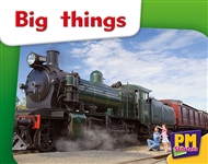 Big things - 9780170133418