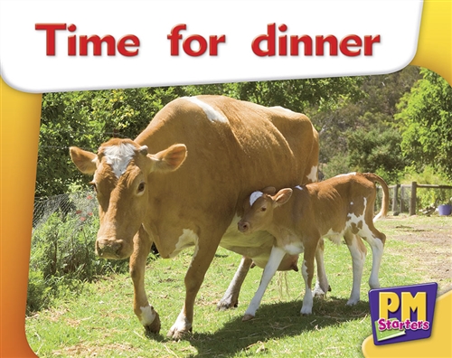 Picture of  Time for dinner