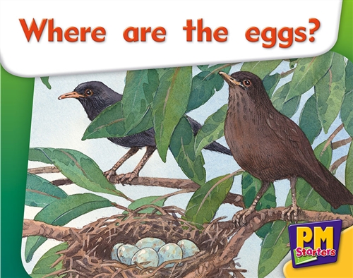 Picture of  Where are the eggs?