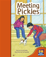 Meeting Pickles - 9780170136167