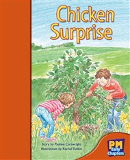 Chicken Surprise - 9780170136198