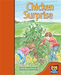 Chicken Surprise