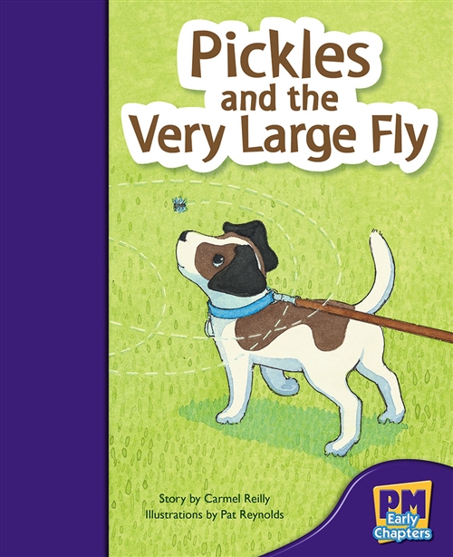 Picture of  Pickles and the Very Large Fly