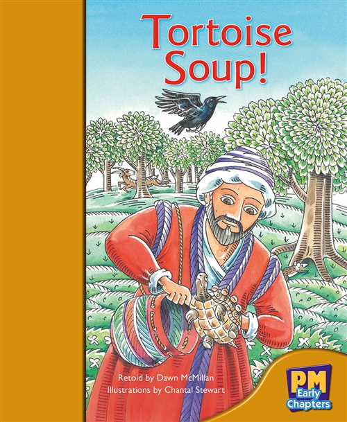 Picture of  Tortoise Soup!