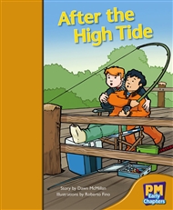 After the High Tide - 9780170136501