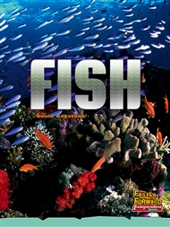 Fish - 9780170179218