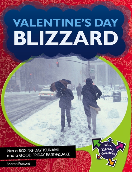 Picture of  Valentine's Day Blizzard