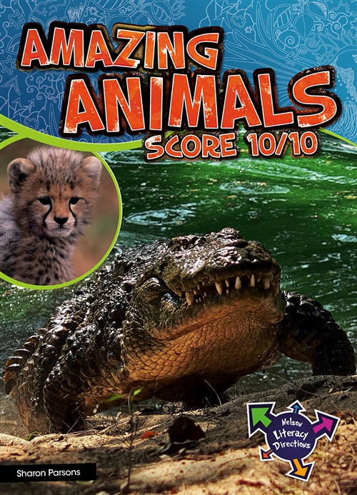 Picture of  Amazing Animals Score 10/10