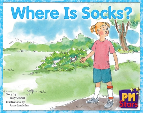 Picture of  Where Is Socks?