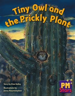 Tiny Owl and Prickly Plant - 9780170193870