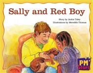 Sally and Red Boy - 9780170193887