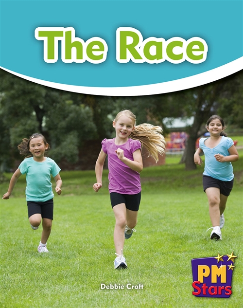 Picture of  The Race