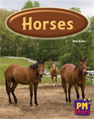 Horses - 9780170194075