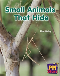 Small Animals That Hide