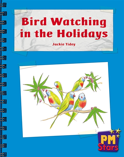 Picture of  Bird Watching in the Holidays