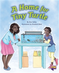 A Home for Tiny Turtle - 9780170266161