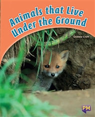 Animals That Live Under The Ground Buy Book Non Fiction Primary Nelson Australia