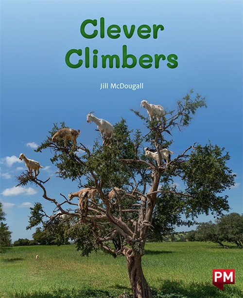 Picture of  Clever Climbers