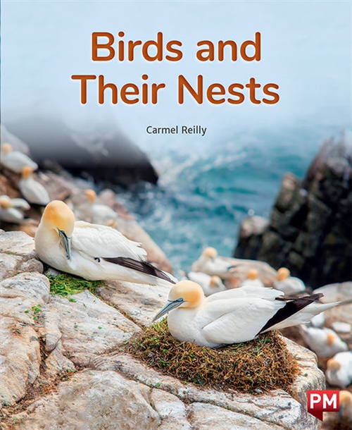 Picture of  Birds and Their Nests